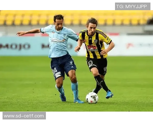 布里斯班与惠灵顿2019年精彩对决回顾与分析 布里斯班与惠灵顿2019年精彩对决回顾与分析