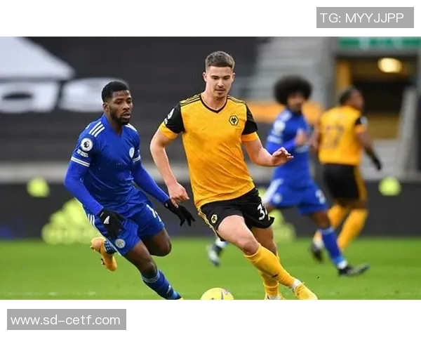 狼队对阵谢斯伯利激战正酣球迷期待精彩进球与战术较量