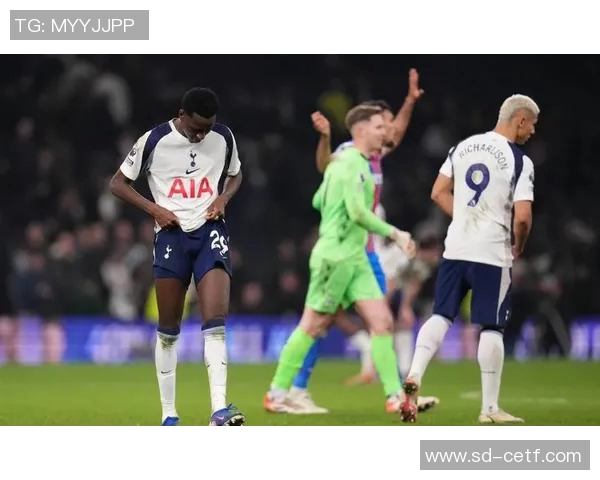 热刺球员评分全面曝光引发热议球迷对表现褒贬不一 热刺球员评分全面曝光引发热议球迷对表现褒贬不一