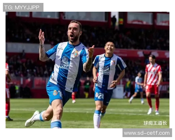 西甲球场与德甲球场的魅力对比与足球文化探讨