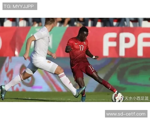 葡萄牙与塞尔维亚激战正酣谁能在这场较量中笑到最后