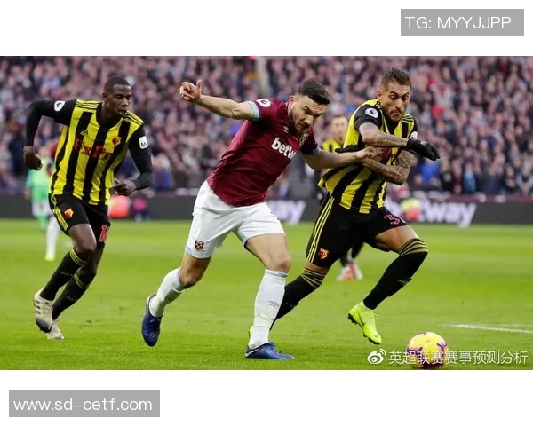 华斯兰德与布鲁日对决前瞻分析及比赛结果预测